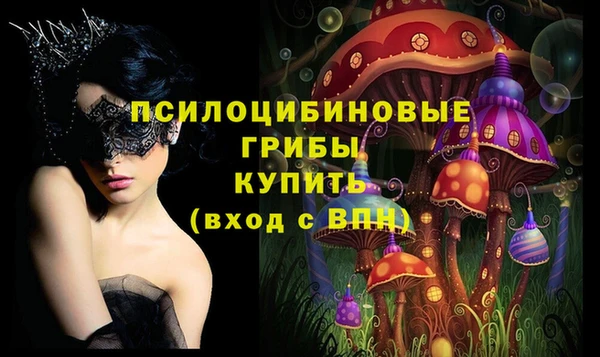ПСИЛОЦИБИНОВЫЕ ГРИБЫ Богородск