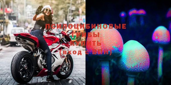 трава Богданович