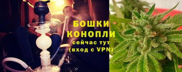 ПСИЛОЦИБИНОВЫЕ ГРИБЫ Богородск