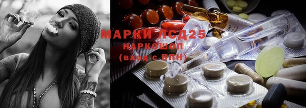 трава Богданович